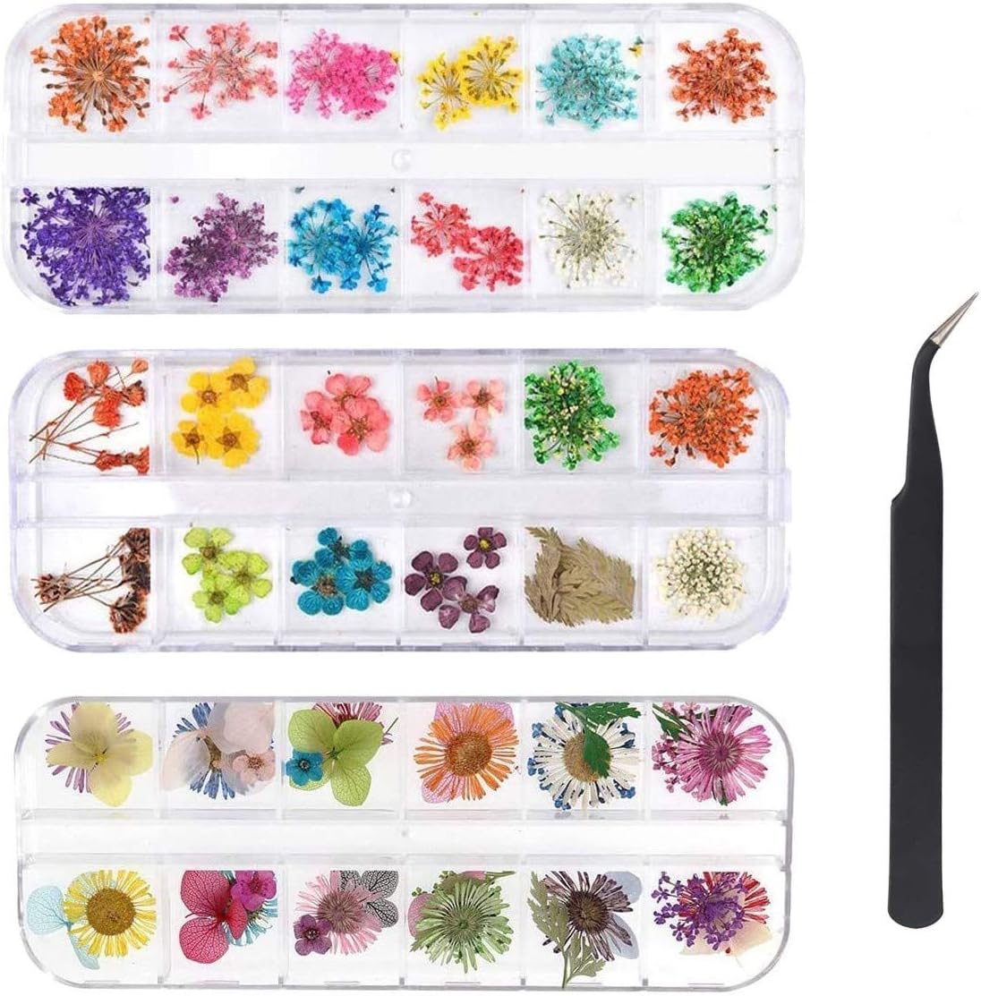 Echte getrocknete Blumen für Nägel (24 Farben)